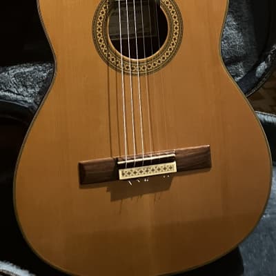 1960's Dobro C-65 Plainsman | Reverb The Netherlands
