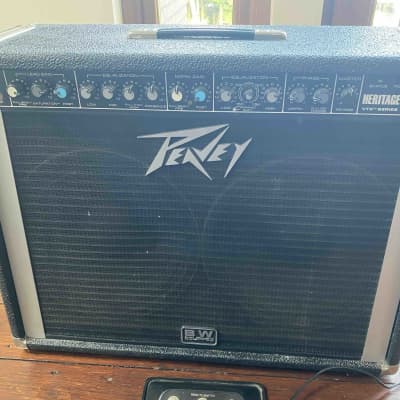 PEAVEY　 Special サンバースト Peavey Special 150 Guitar Combo Amp | Musician's Friend