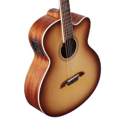 Alvarez ABT60CE-8SHB Acoustic 8 String Baritone Guitar image 12