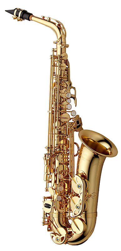 Yanagisawa Alto Sax - Brass image 1