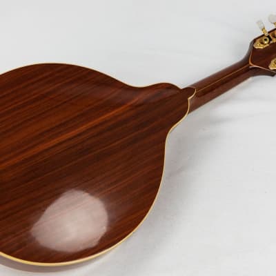 David Oddy A Style Mandolin, Electro - natural image 6