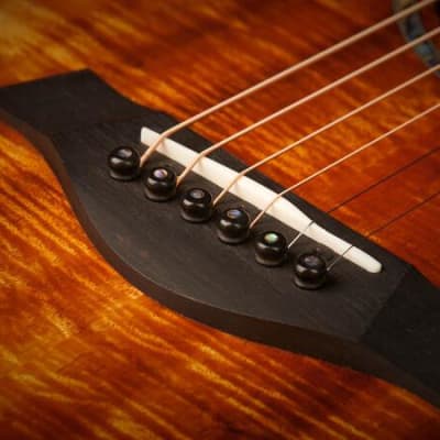 Taylor Ebony Acoustic Guitar Bridge Pins w/ Abalone Dots image 2