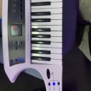 Roland AX-Synth Shoulder Synthesizer