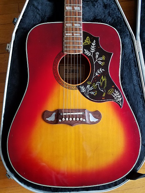 Columbus hummingbird sales acoustic guitar