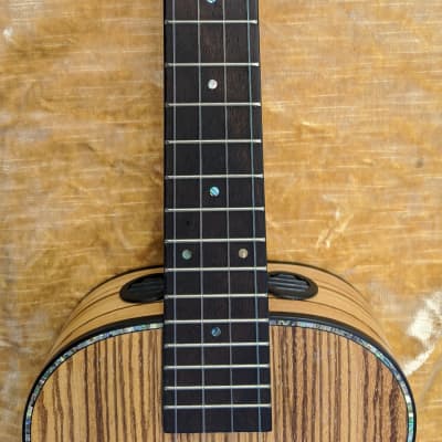 Liger Ukulele • Professional Tenor Ukulele with Built-in Amp and Speaker image 13