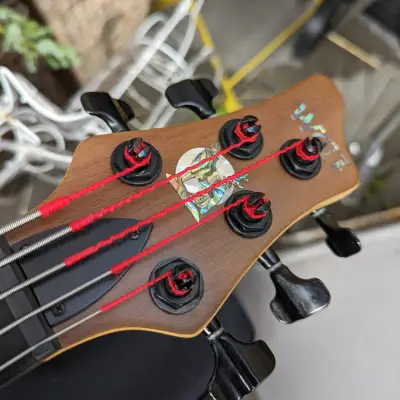 Wolf 5 String Bass Walnut Special Edition NAMM E-Bass Gitarre image 5