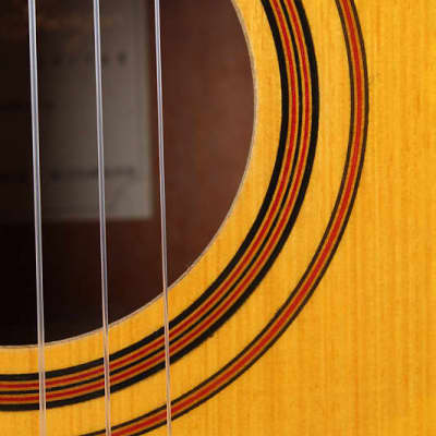 Di Giorgio Estudante No 18 Classical Acoustic Guitar with Hardshell Case image 5