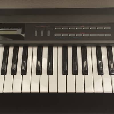 Roland Alpha Juno-2 61-Key Programmable Polyphonic Synthesizer