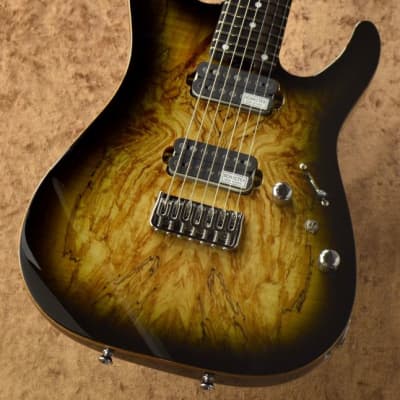 [希望金額お伝え下さい] SCHECTER 7弦ギター　24f schecter 7弦 custom