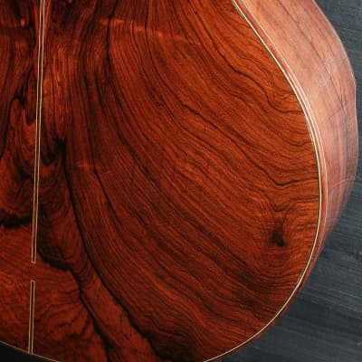 Brian Galloup Solstice Reserve - Brazilian Rosewood - 2007 image 7
