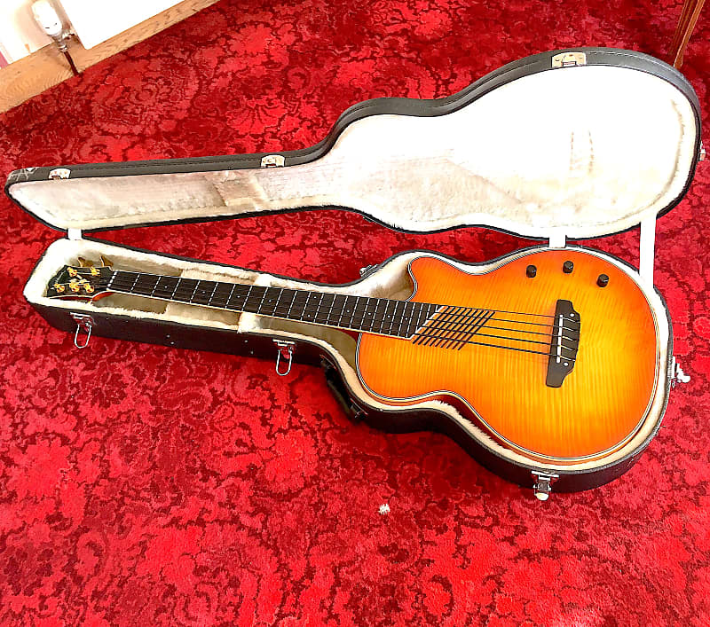 Washburn AB45 5String Custom Shop Acoustic/Electric Bass Reverb