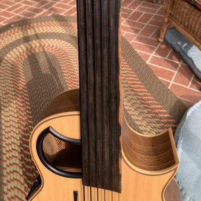 Warwick Alien 6 String Fretless Bass image 3