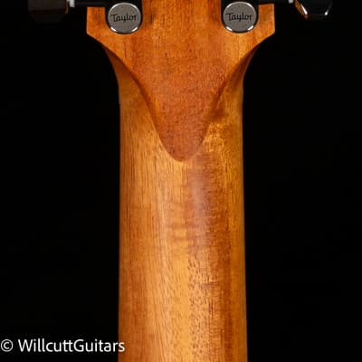 Taylor GS Mini-e Rosewood Plus (337) image 6