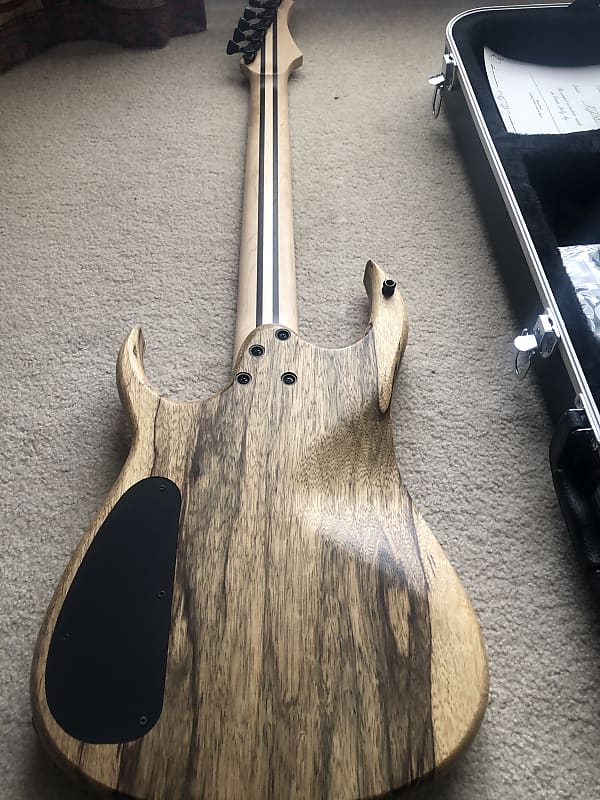 ギター OVERLOAD Guitars RAIJIN s-l1200.jpg
