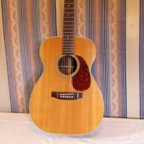 Takamine f310 hot sale