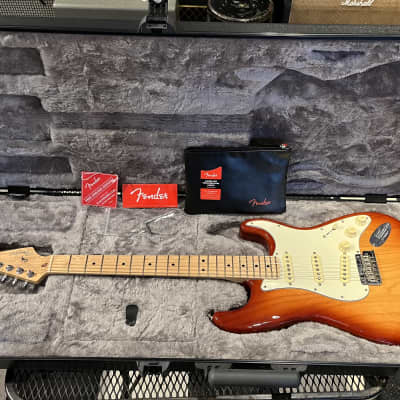 Fender American Professional Stratocaster  2017 Sienna Sunburst image 3