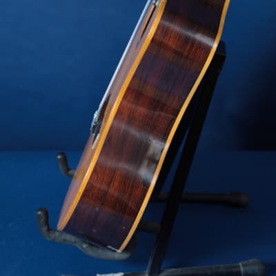 Giannini Craviola AWKNS6 / Nylon String and Bossa Ready! image 18