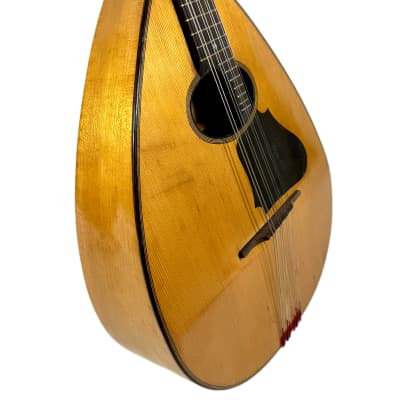 Concert Mandola Flat-Back Emanuele Egildo N°240 from 1920 image 4