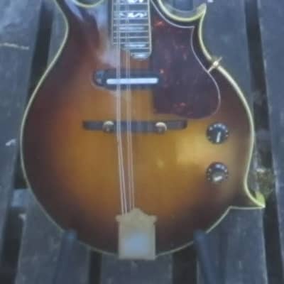 Hondo HM5 electric mandolin for sale
