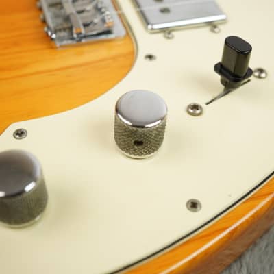 1973 Fender Telecaster Thinline + HSC image 18