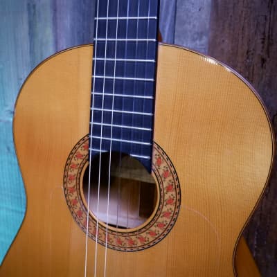 M. G. Contreras Flamenco Student Model 1980's-1990's - Natural with Hard Case & Wittner Mechanical Tuners image 7
