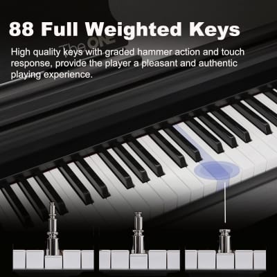 Digital Piano With Lighted-Up Teaching Keys, 88 Hammer Action Keys Piano Keyboard For Beginner/Professional, Full Size Weighted Keyboard With Piano Stand/3-Pedal Unit/App, Black image 3