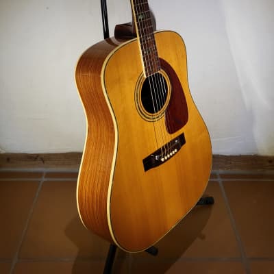 Takeharu WT-300 Folk | Reverb