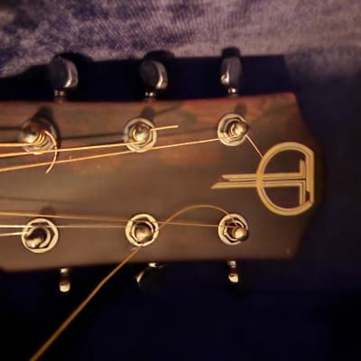 Teton  STS000ZIS Acoustic Guitar w/hard Teton case 2021 Ziricote Satin image 12