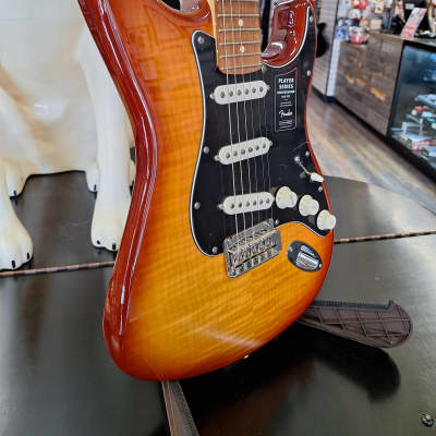 Fender Player Stratocaster Plus Top with Pau Ferro Fretboard 2018 - Present - Tobacco Sunburst image 3