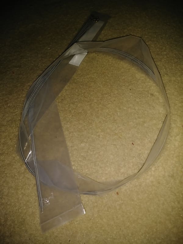 Most common broken BASS STRING: “D” - new -made in USA (.65) | Reverb