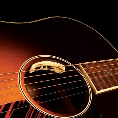 LR Baggs Anthem-SL Soundhole Microphone/Undersaddle Acoustic Guitar Pickup image 5