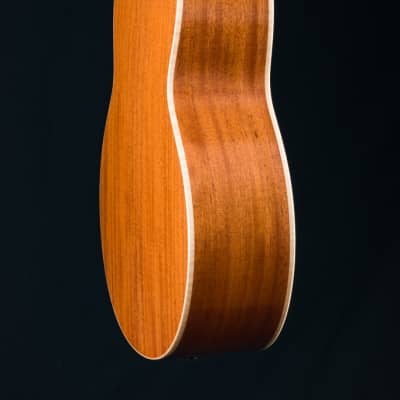 Lowden F-20 Sitka Spruce and Mahogany with Pickup NEW image 21
