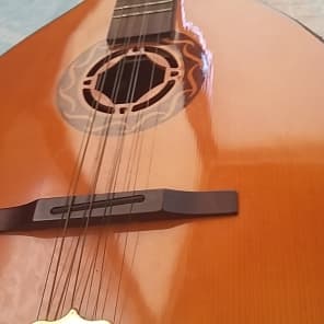 Celtic Star Irish Bouzouki with EQ System and Hard Case Reverb