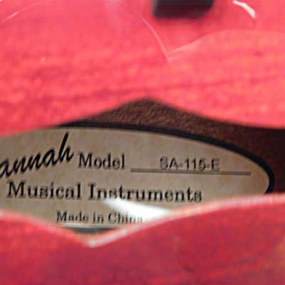 Savannah SA-115-E Madison Acoustic Electric A Style Mandolin image 11