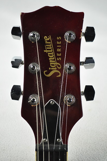 Signature series outlet guitar