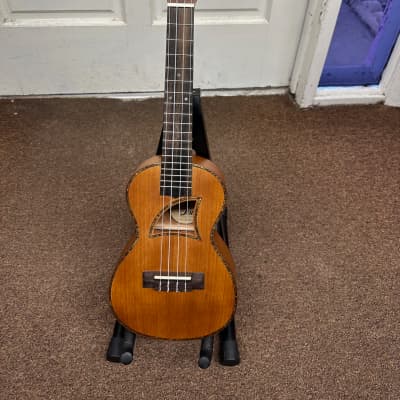 EDDY FINN EF-30-C concert KOA ukulele UKE new Local Pickup Item image 1