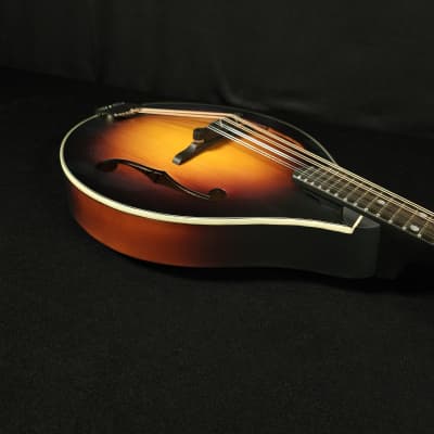 Eastman MD305E-SB A Style Mandolin with Pickup and Bag image 14