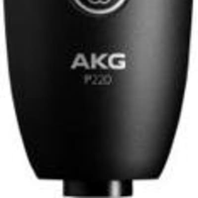 AKG P220 Studio Large Diaphragm Condenser Microphone image 1