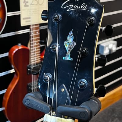 Gould 'The Eagle' LP-Style in Tobacco Burst Electric Guitar image 9