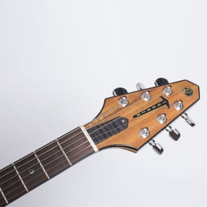 Rick Turner Model 1 LBU Lindsey Buckingham Signature Electric Guitar image 7