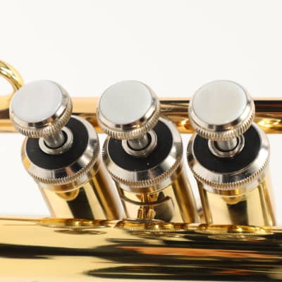 Bach Model BTR301 Student Bb Trumpet MINT CONDITION image 17