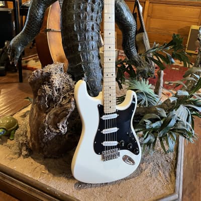 Fender Stratocaster Partscaster Build w/ Hard Shell Case image 1