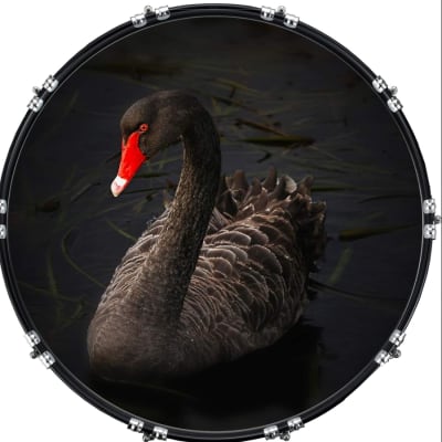 Custom Graphical 22" Kick Bass Drum Head Skin -Black Swan 1 for sale