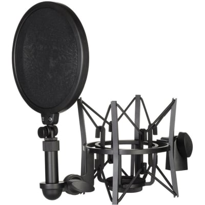 Rode SM6 Professional Shockmount with integrated Pop filter image 2