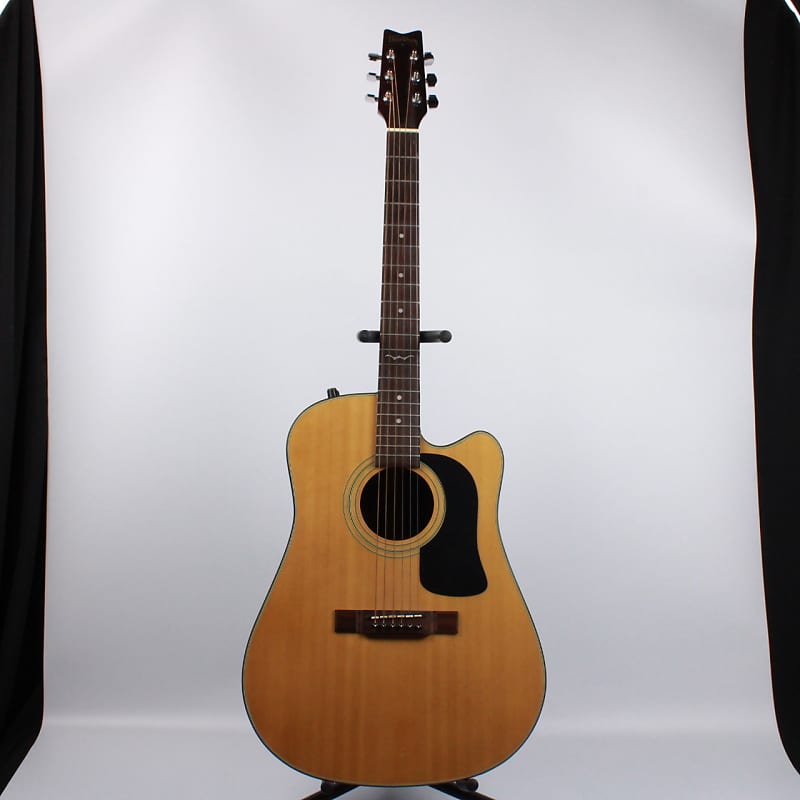 Washburn d12ce 2024