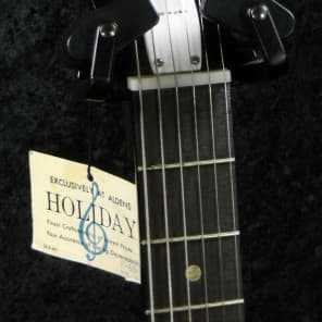 Harmony Holiday Bobkat H15V and Holiday Amp Package image 6