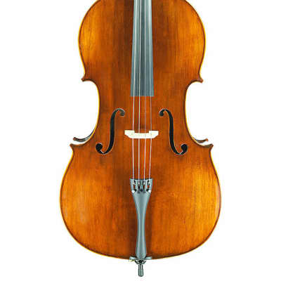 Eastman VC305 Intermediate Cello image 1