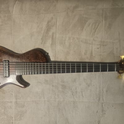 Pavel's 6 String Bass Signature Aryel Pro II 2007 - Walnut, Honduran Mohogany Bottom, Red wood Barrel image 2